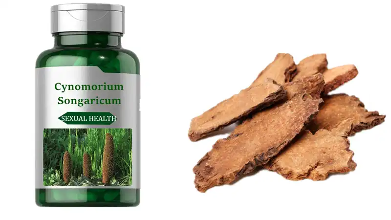 Can Cynomorium Capsules Enhance Your Vitality and Stamina?